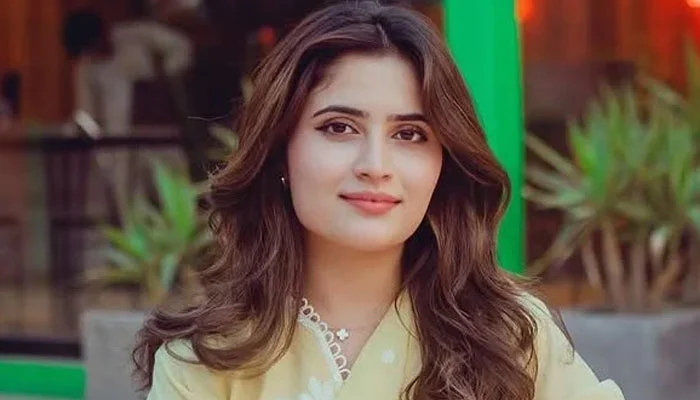 عروب جتوئی کے موبائل کا فرانزک کروانے کی استدعا منظور