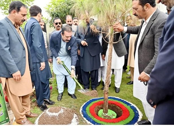 آزاد کشمیر میں شجرکاری مہم کا آغاز، وزیراعظم فیصل ممتاز راٹھور نے پودا لگا دیا